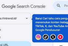 Platform Properties Google Search Console