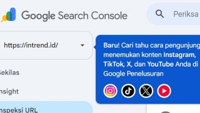 Platform Properties Google Search Console