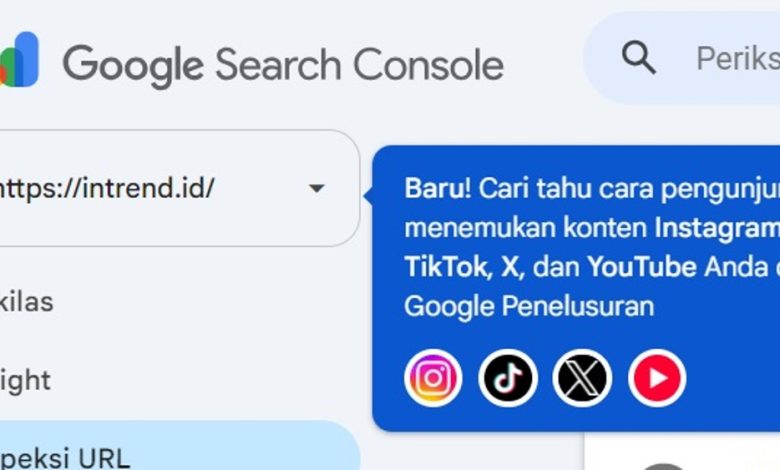 Platform Properties Google Search Console