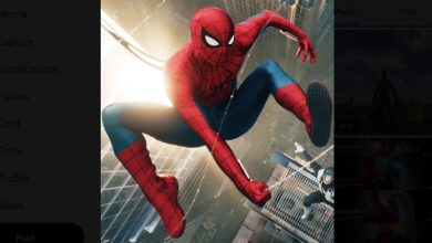 spiderman brand new day