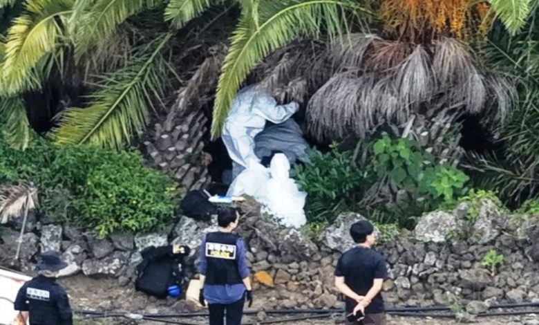 orang hilang di Pulau Jeju