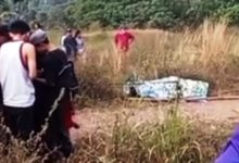 kasus mutilasi depok