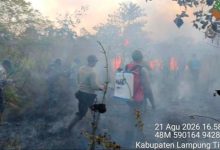 Kebakaran Way Kambas
