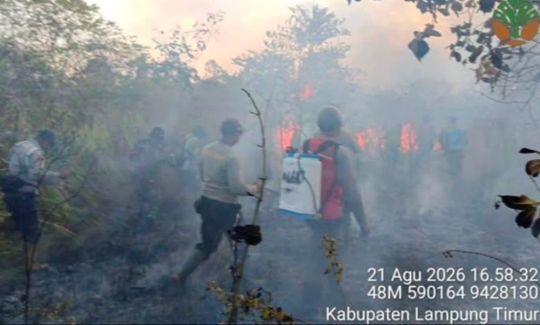 Kebakaran Way Kambas