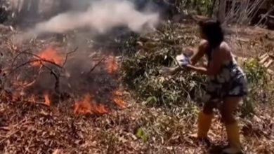 apakah tepung bisa memadamkan api