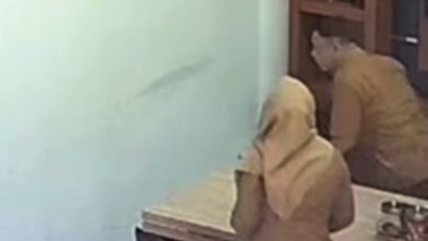 video viral asn sumbar