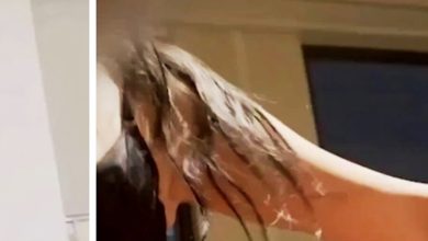 Video Viral Bilqis Banyuwangi