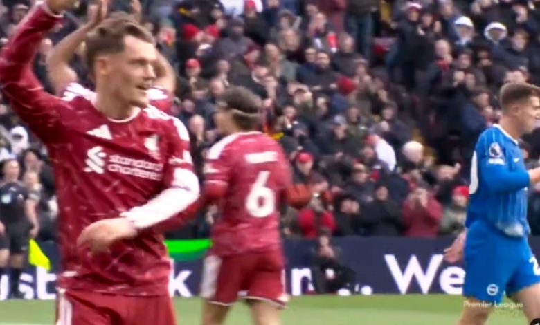 liverpool vs brighton